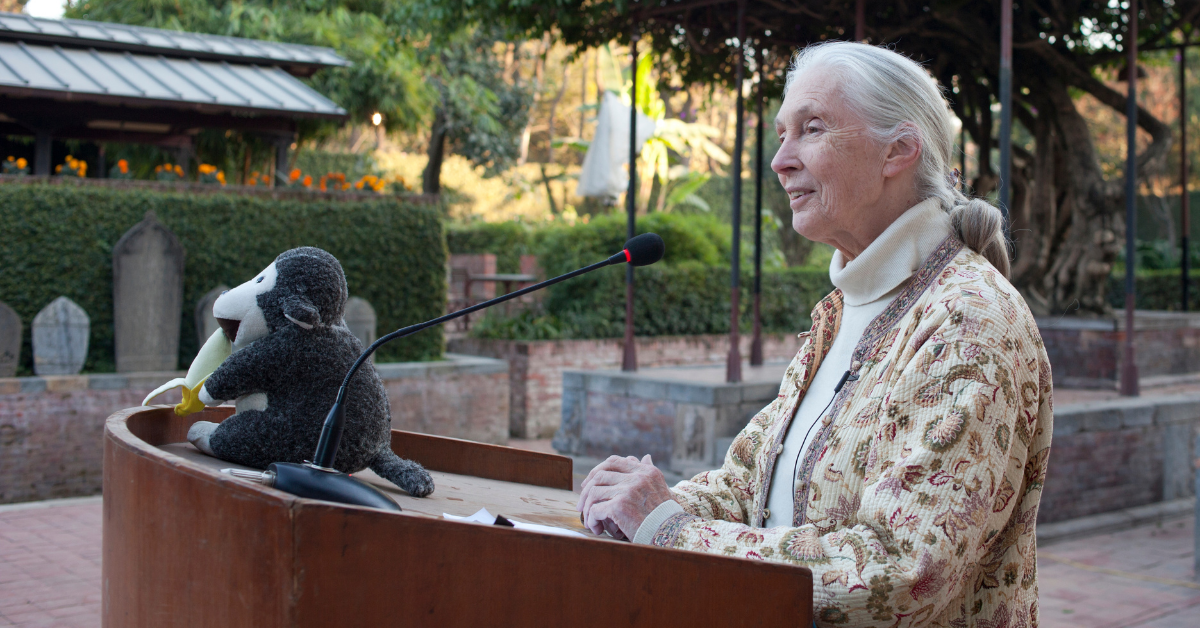 jane goodall story