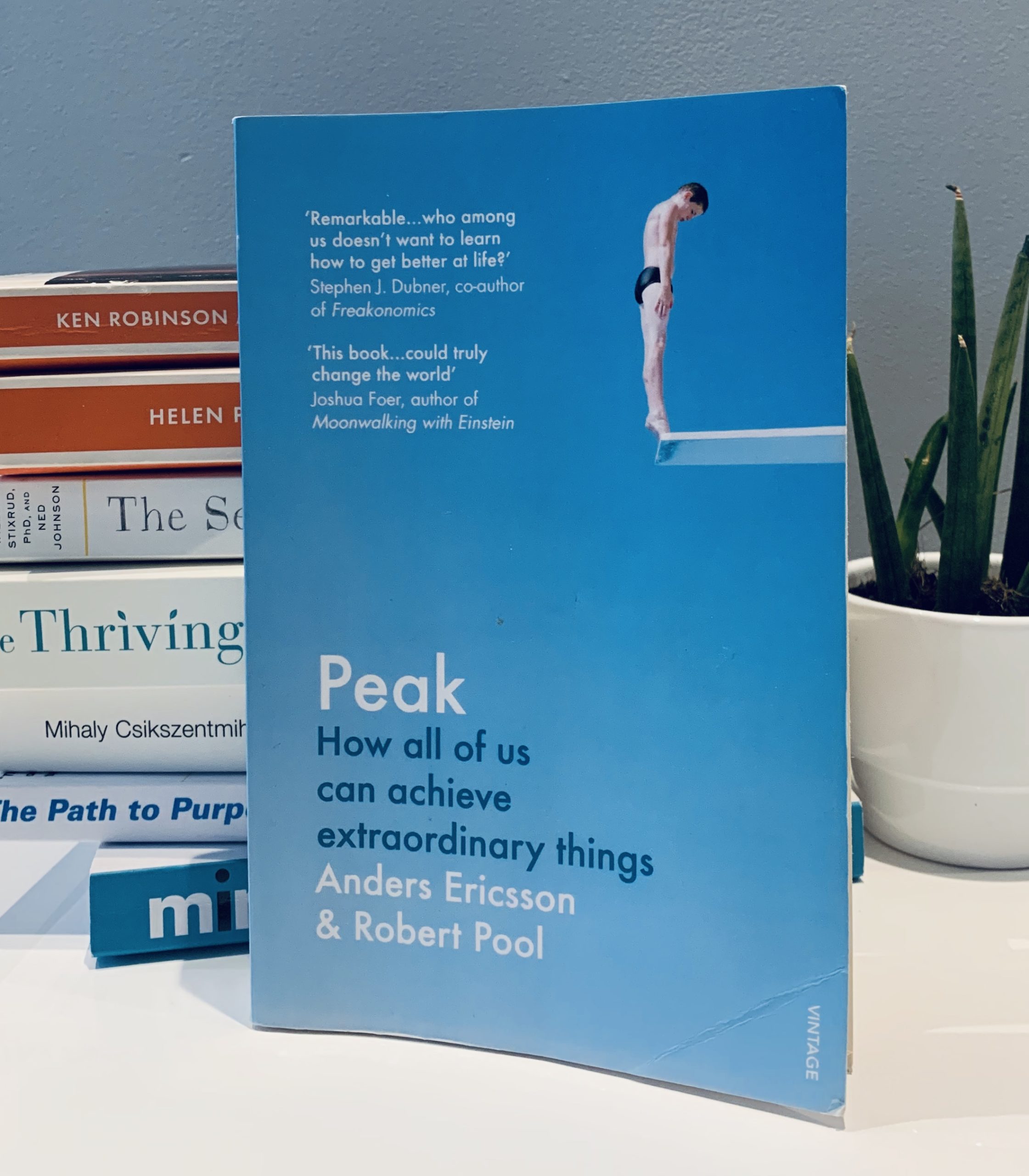 peak book anders ericsson summary