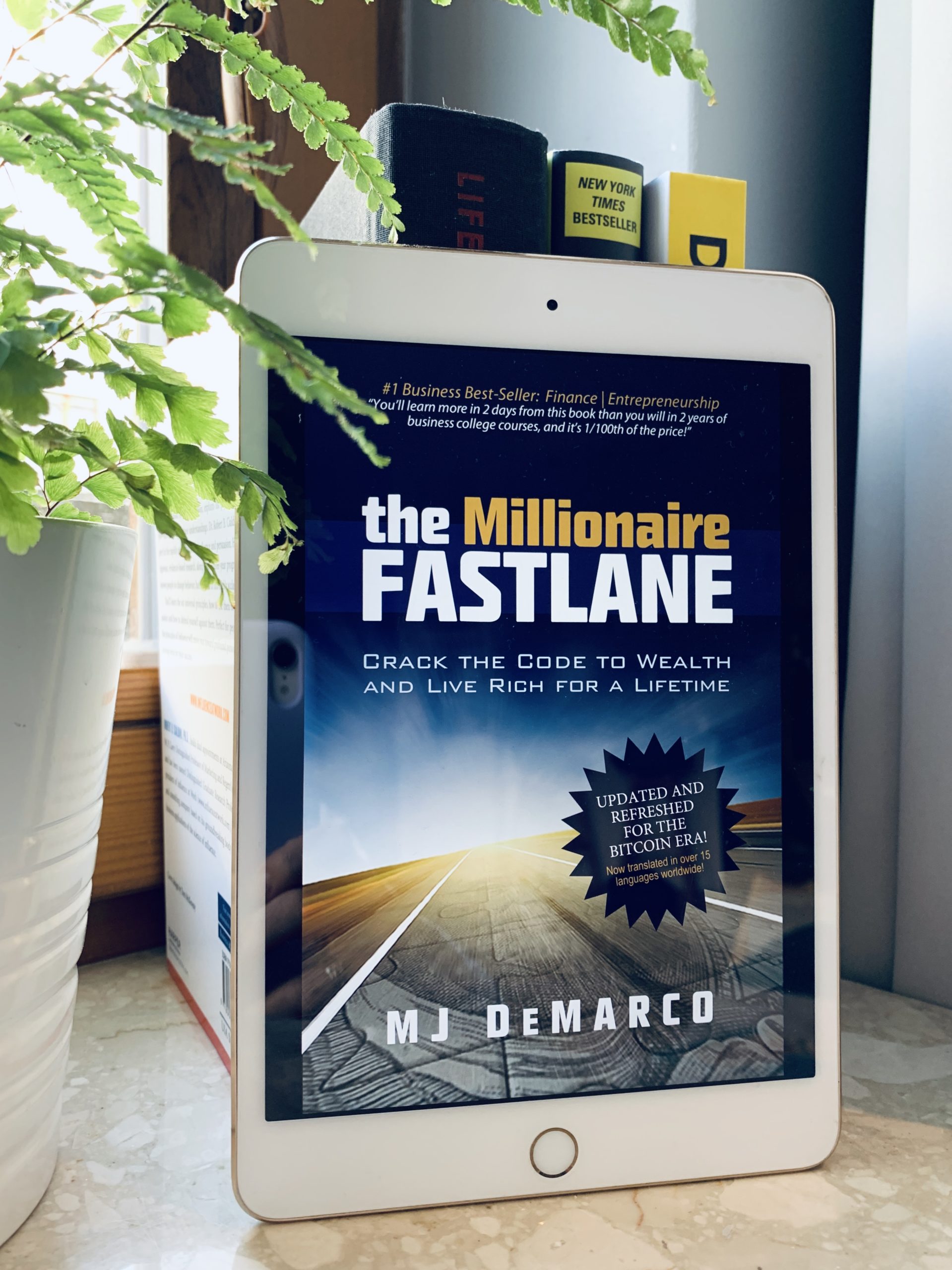 The  Fastlane Millionaire: How to Start and Build a Successful