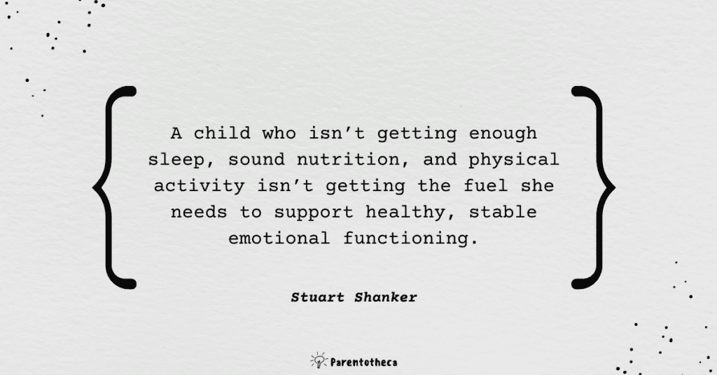 help your child deal with stress self-reg shanker book summary quote