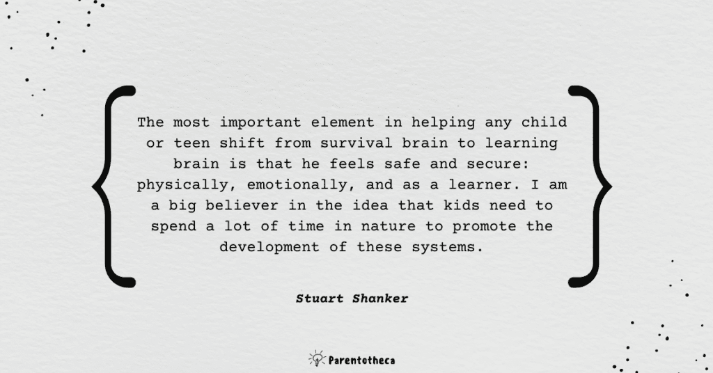 help your child deal with stress self-reg shanker book summary quote