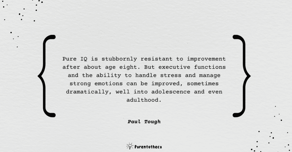 how children succeed paul tough book summary