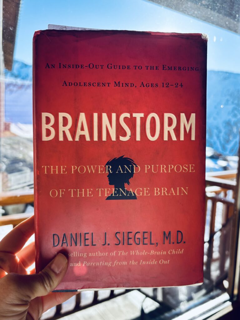 Brainstorm Dan Siegel book summary